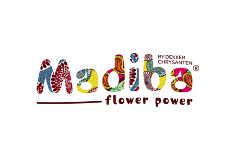 madibanl giphyupload flower madiba Sticker