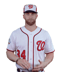 Washington Nationals Good Job Sticker by MLB