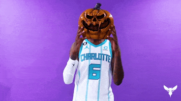 Basketball Nba GIF by Charlotte Hornets