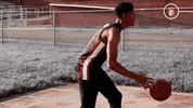 Letsgopeay GIF by Austin Peay Athletics