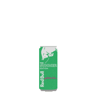 Fun Summer Sticker by Red Bull