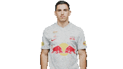 Football Sport Sticker by FC Red Bull Salzburg