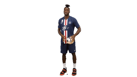 Ehf Champions League Fun Sticker by Paris Saint-Germain Handball