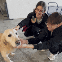 Dog Pet GIF by Aurora Gaming