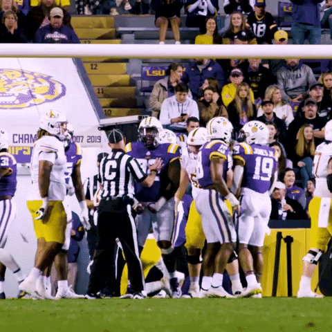 Death Valley Football GIF by LSU Tigers
