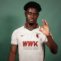 Bundesliga GIF by FC Augsburg 1907