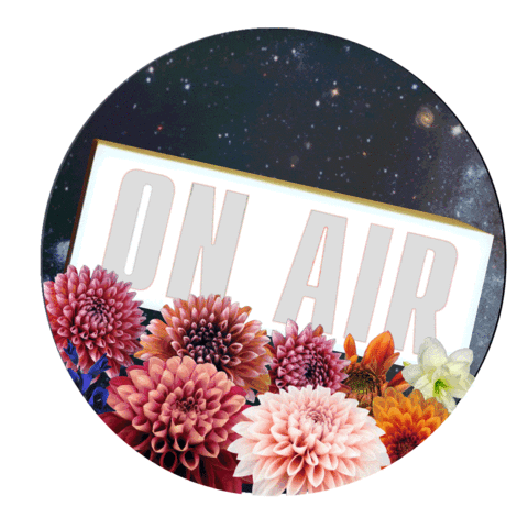 egoFM radio on air egofm Sticker