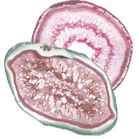Blink Gems Sticker by P13PaperProducts