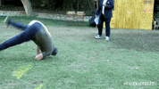 GIF by Taskmaster Portugal