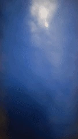 Simongip giphygifmaker GIF