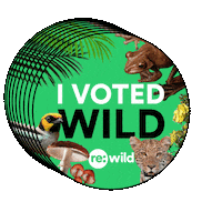 Vote Early Sticker by Re:wild