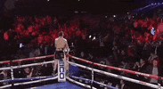 top rank punching GIF by Top Rank Boxing