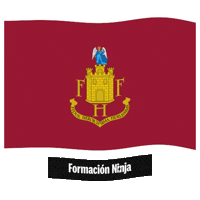 Comunidad Valenciana Flag Sticker by Formación Ninja