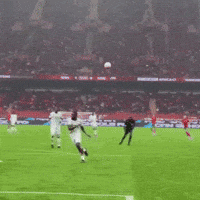 Goal Morocco GIF