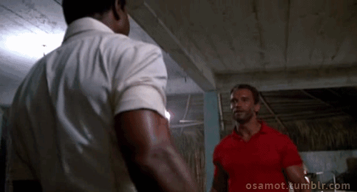 GIF by Giphy QA