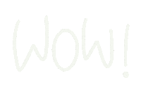 Wow Sticker