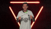 Vfl Wolfsburg Cheering GIF by Bundesliga