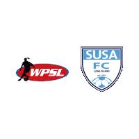 Game Day Sticker by SUSA Soccer