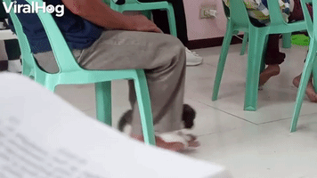 Guy in Church Swings Puppy with His Feet