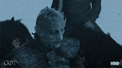 Episode 5 Hbo GIF by Game of Thrones