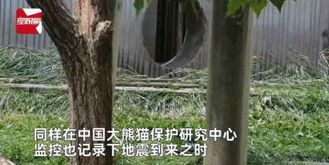 giphyupload GIF