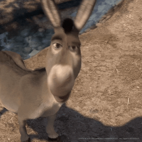 Donkey-smile GIFs - Get the best GIF on GIPHY