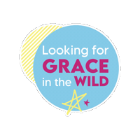 kimberlystuartwrites grace star for jesus starforjesus kimberly stuart Sticker