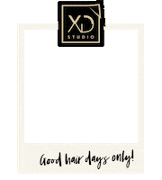 xdstudiogr onelove xdstudio sunnywin unicknfaybulous Sticker