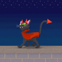cat walk GIF by jjjjjohn