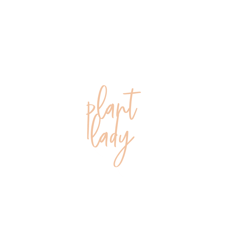 sheboss giphyupload nature 2021 plant Sticker