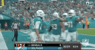 Regular Season Football GIF by NFL