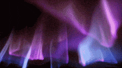loop pink GIF by Doze Studio