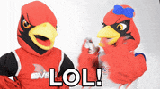 Coop Scarlet GIF by Saginaw Valley State University