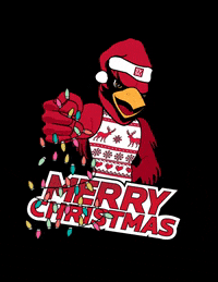 Svsu GIF by Saginaw Valley State University