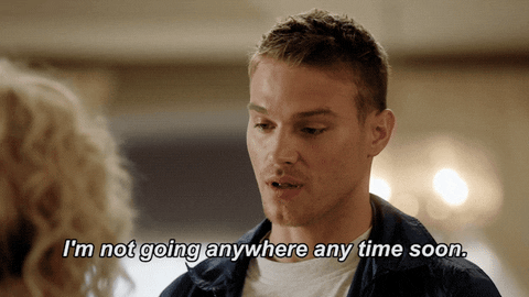 staronfox giphyupload star fox fox tv GIF