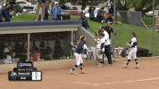 utah state softball GIF by USUAthletics