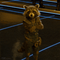 Guardians Of The Galaxy Rocket GIF by Marvel