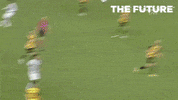 Paokfamily Superleague GIF by PAOK FC
