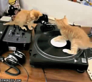 franfalsoni giphyupload GIF