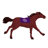Horse Racing Running Sticker by Breeders' Cup World Championships
