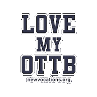 Thoroughbred Sticker by New Vocations Racehorse Adoption Program