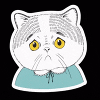 olenavasiv cat dog pig dino GIF