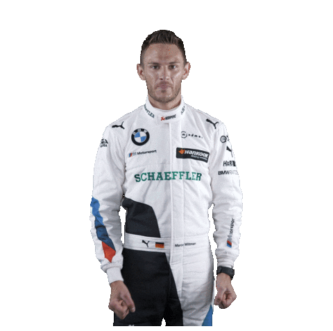 Welovedtm Wittmann Sticker by DTM