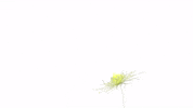 GIF by LUMAGICA