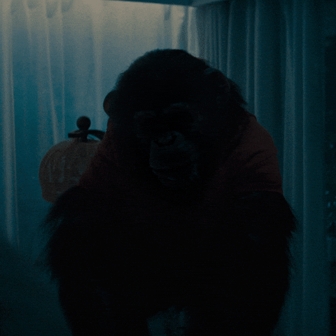Horror Monkey GIF by Primate Movie