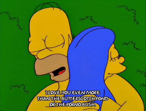homer simpson GIF