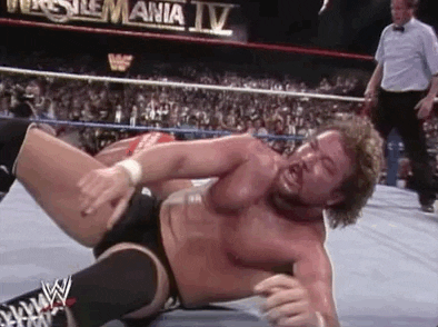 Ted Dibiase Sport GIF by WWE
