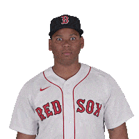 Red Sox Wow Sticker by Boston Red Sox