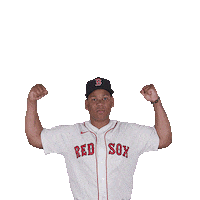 Red Sox Baseball Sticker by Boston Red Sox