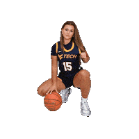 Womens Basketball Sticker by WVU Tech Golden Bears